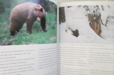 DES HOMMES ET DES OURS.. Alain Boyaval
