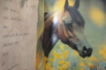 LES CHEVAUX DU SOLEIL. Portrait des plus merveilleux chevaux du monde.. Robert Vavra