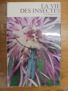 La vie des insectes