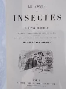 LE MONDE DES INSECTES.