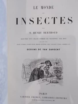 LE MONDE DES INSECTES. . S. Henry Berthoud - Yan' Dargent (dessins)