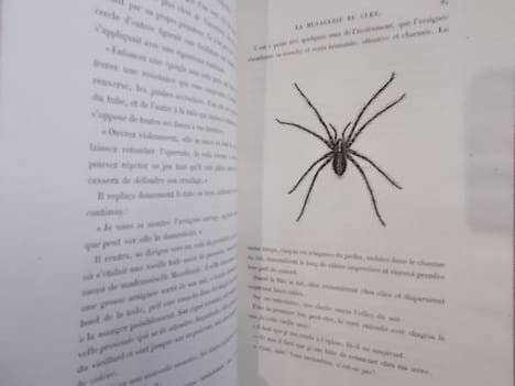 LE MONDE DES INSECTES. . S. Henry Berthoud - Yan' Dargent (dessins)