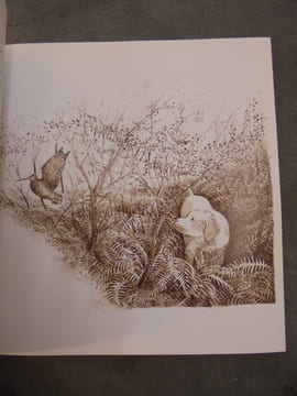 Sublime bécasse
. Gérard Woog