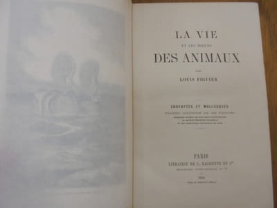 La vie et les moeurs des animaux. Zoophytes et mollusques.