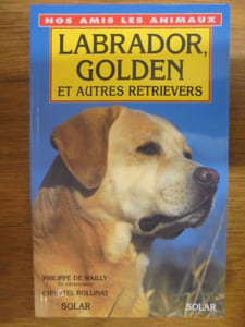 Labrador, golden et autres retrievers