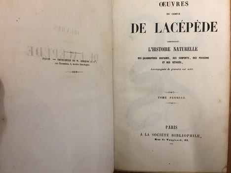 Oeuvres du Comte De Lacépède - Tome 1 - Histoire Naturelle des Quadrupèdes ovipares, des serpents, des poissons et des cétacés. Comte de Lacépède