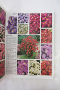 Guide des plantes vivaces: Aquatiques, aromatiques, bruyeres, fougères, graminées