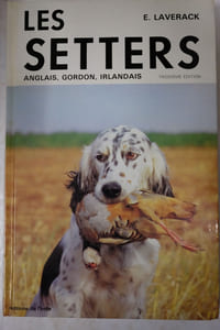 Les Setters anglais, Gordon, irlandais