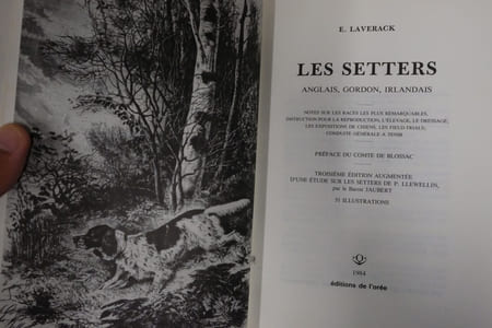 Les Setters anglais, Gordon, irlandais