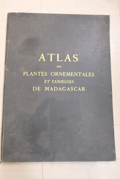 Atlas des plantes ornementales et curieuses de Madagascar. Louvel