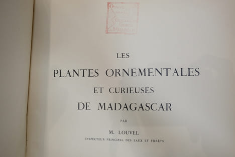Atlas des plantes ornementales et curieuses de Madagascar. Louvel