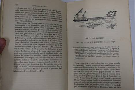 Les géants de la mer - Requins, Baleines, Dauphins. Norman J.R., Fraser F.C.
