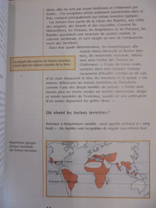 Les tortues terrestres (Guide de l'éleveur amateur)