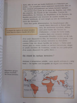 Les tortues terrestres (Guide de l'éleveur amateur). Praschag, Rainer