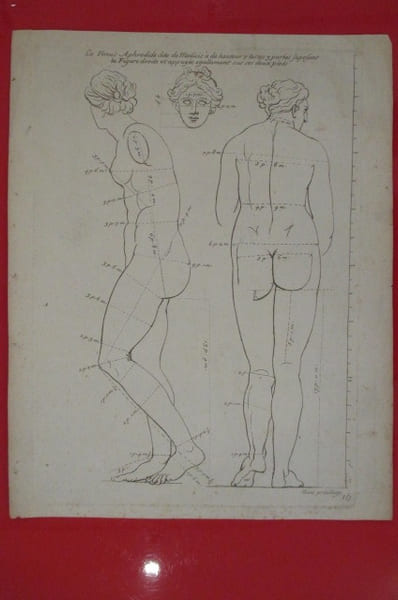"La V&eacute;nus Aphrodide dite de Medicis &agrave; de hauteur 7 testes 3 parties suposant la Figure droite et appuy&eacute;e &eacute;gallement sur ses deux pieds".
LES ...