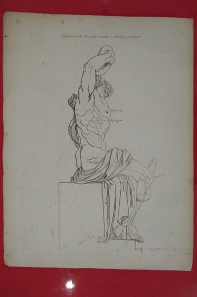 "Laocoon a de hauteur 7 testes 2 parties 3 minutes".
LES PROPORTIONS DU CORPS HUMAIN MESUREES SUR LES PLUS BELLES FIGURES DE L'ANTIQUITE.
PLANCHE ...