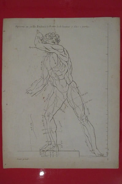 "Pyrasme au Jardin Ludouise &agrave; Rome a de hauteur 7 t&ecirc;tes 2 parties".
LES PROPORTIONS DU CORPS HUMAIN MESUREES SUR LES PLUS BELLES FIGURES DE ...