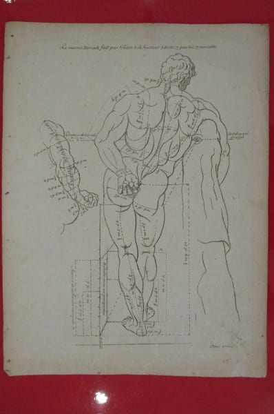 "Le Mesme Hercule fait par Glicon a de hauteur 7 testes 3 parties 7 minutes".
LES PROPORTIONS DU CORPS HUMAIN MESUREES SUR LES PLUS BELLES FIGURES DE ...