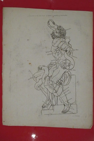 "Laocoon a de hauteur 7 testes 2 parties 3 minutes".
LES PROPORTIONS DU CORPS HUMAIN MESUREES SUR LES PLUS BELLES FIGURES DE L'ANTIQUITE.
PLANCHE ...
