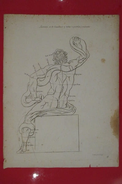"Laocoon a de hauteur 7 testes 2 parties 3 minutes".
LES PROPORTIONS DU CORPS HUMAIN MESUREES SUR LES PLUS BELLES FIGURES DE L'ANTIQUITE.
PLANCHE ...