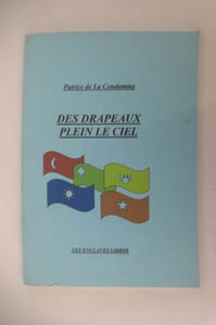 DES DRAPEAUX PLEIN LE CIEL ce que nous raconte la vexillologie.
