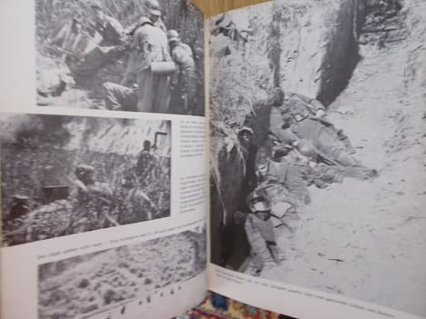 DIE DEUTSCHE GEBIRGSTRUPPE 1939-1945. Der Kampf der deutschen Gebirgsjäger an allen Fronten.. Alex Buchner