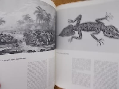 L'INVENTION DU MONDE. Une histoire des découvertes illustrées par les images du temps. 