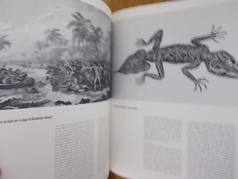 L'INVENTION DU MONDE. Une histoire des découvertes illustrées par les images du temps. . Albert Bettex