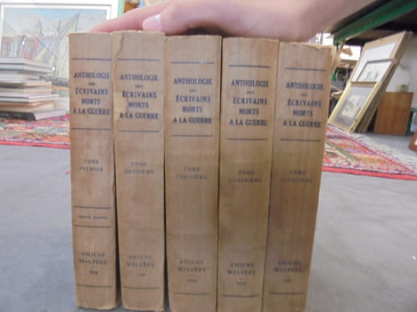 Anthologie des Ecrivains morts à la guerre 1914-1918 (5 Tomes - Complet)
. MALFERE, Edgar ; SANDRE, Thierry ; Association des Ecrivains Combattants