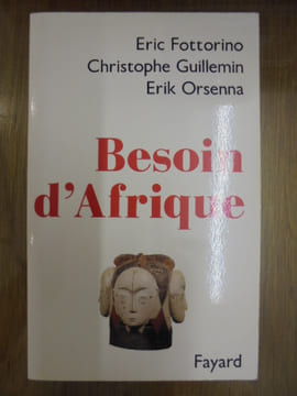 BESOIN D'AFRIQUE.. FOTTORINO ERIC, GUILLEMIN C., ORSENNA ERIK.