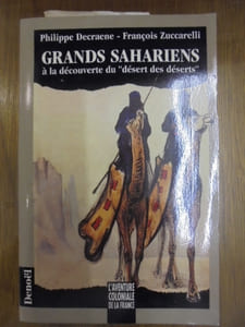 GRANDS SAHARIENS A LA DECOUVERTE DU 'DESERT DES DESERTS'