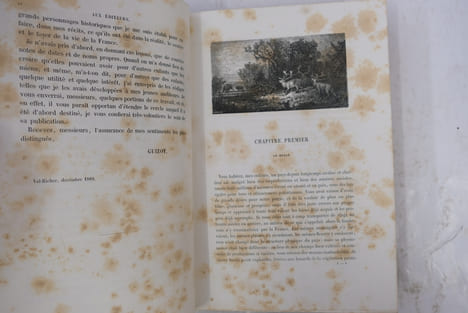 L'Histoire de France depuis les temps les plus reculés jusqu'en 1789 racontée à mes petits-enfants (5 vol.) et L'Histoire de France depuis 1789 ...