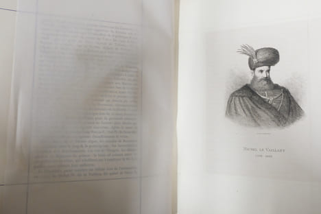Notice historique et généalogique sur les Princes Bassaraba de Brancovan. Comte Amédée de Foras