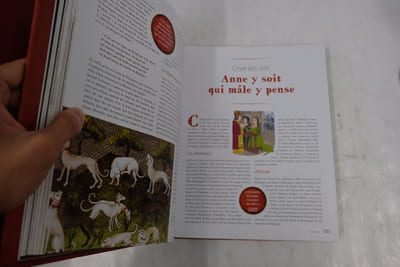 Les Dessous croustillants de l'Histoire de France Illustrés