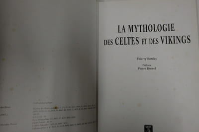 La mythologie des Celtes et des Vikings