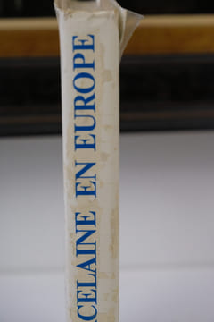 L'Art de la Porcelaine en Europe. Jan Divis & Marielle Ernould-Gandouet