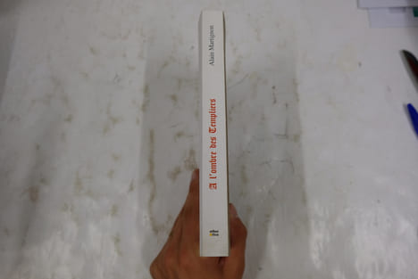 A l'ombre des Templiers. Alain Martignon