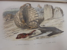 Histoire naturelle de Lacépède, comprenant les cétacés, les quadrupèdes ovipares, les serpents et les poissons (2 volumes). Cuvier Georges, Comte de ...