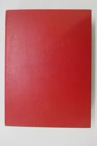 L'ECHO DES SAVANES. Année 1981.