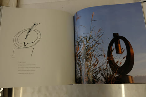 André Raboud. Sculptures 1999-2002.. Clémence de Biéville