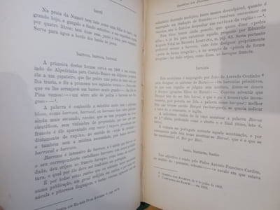 APOSTILAS aos DICIONÁRIOS PORTUGUESES. 2 Tômos