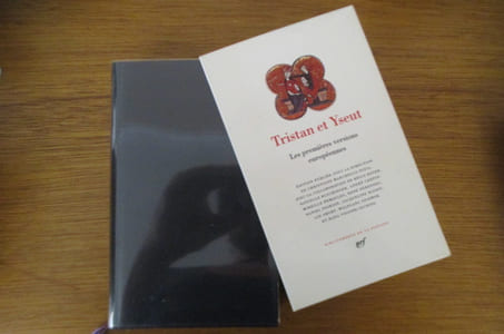 TRISTAN et YSEUT. Les premières versions européennes.