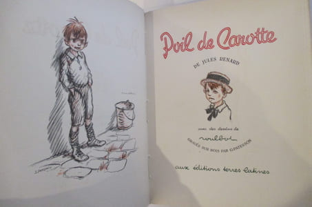 POIL DE CAROTTE