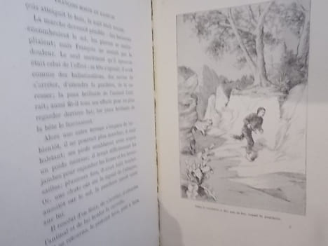 LES AVENTURES de FRANCOIS MORIN EN KABYLIE. Cinquième édition.. Fernand-Hue - Desmoulins (illustrations)