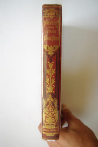 SOUVENIRS D'UN JEUNE FRANC-TIREUR.