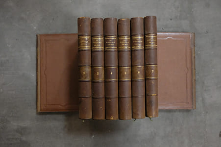 Histoire des deux restaurations en 8 volumes ( sixième édition )