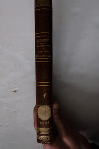De la constitucion y del gobierno de los reinos de Leon y Castilla