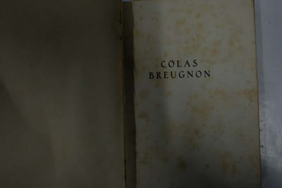 Colas Breugnon