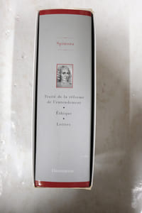 Traité de la réforme de l'entendement - Ethique - Lettres - Collection le monde de la philosophie n°13