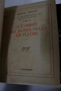 A la recherche du temps perdu : 3 premiers volumes. Du côté de chez Swann (I & II), A l’Ombre des Jeunes Filles en Fleurs (I à III), Le Côté de Guermantes (I).